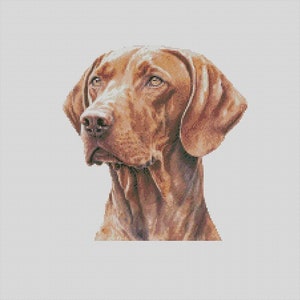 Vizsla Dog 1 Cross Stitch Chart Instant Download PDF Pattern Keeper Compatible