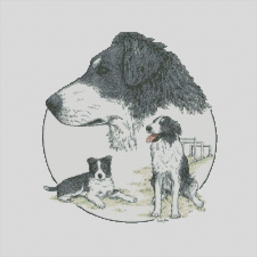 Border Collie Dog Trio Cross Stitch Chart Instant Download PDF Pattern ...