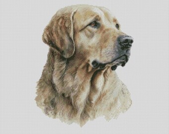 Golden Retriever Dog 1 Counted Cross Stitch Chart or Complete Kit
