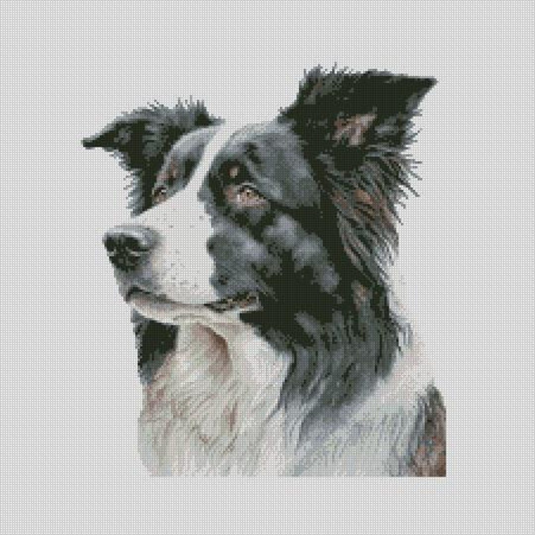 Border Collie Dog 1 Cross Stitch Chart Instant Download PDF Pattern ...