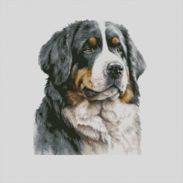 Counted Cross Stitch Chart Only or Complete Kit Bernese Mountain Dog 3