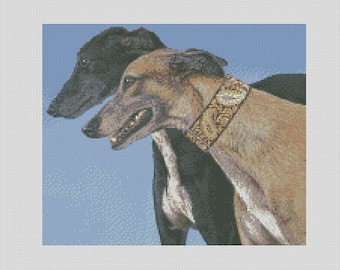 Puede incluir: Dos galgos, uno negro y otro marrón, corren uno al lado del otro. El galgo marrón lleva un collar con estampado dorado y marrón.