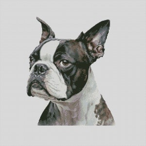 Boston Terrier Dog 1 Cross Stitch Chart Instant Download PDF Pattern Keeper Compatible