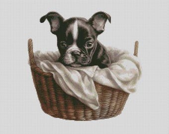 Boston Terrier Puppy In Basket 1 Cross Stitch Chart Instant Download PDF Pattern Keeper Compatible