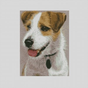 Può includere: Un ritratto ravvicinato di un cane bianco e marrone con un collare e un ciondolo neri. Il cane ha gli occhi marroni e la lingua rosa che sporge. Il cane guarda a sinistra dell'immagine.