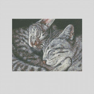 May include: Two gray tabby cats curled up together sleeping. The cat on top has its head resting on the cat below.