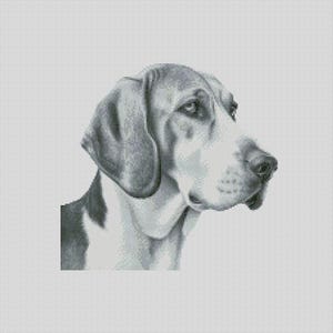 May include: A black and white illustration of a Bloodhound dog with its head turned to the side. The dog has a long, pointed snout and floppy ears.