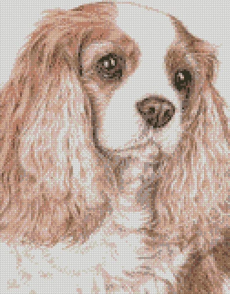 Cross Stitch Chart or Complete Kit Cavalier King Charles Etsy Australia