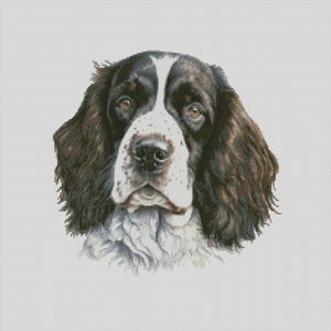 English Springer Spaniel Dog 1 Cross Stitch Chart Instant Download PDF Pattern Keeper Compatible