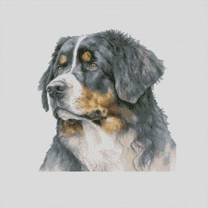 Berner Sennenhund 10 Kreuzstichvorlage Sofortiger Download PDF Muster Finder Kompatibel