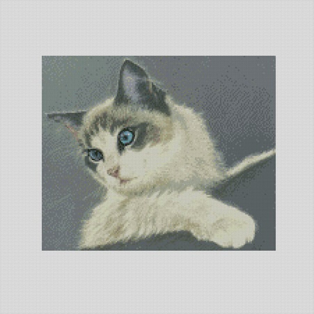 Ragdoll Cat Counted Cross Stitch Chart or Complete Kit - Etsy
