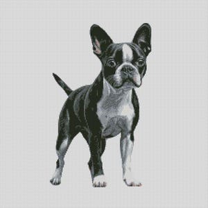 Boston Terrier Dog 5 Cross Stitch Chart Instant Download PDF Pattern Keeper Compatible