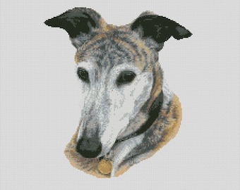 Puede incluir: Un retrato de cerca de un perro galgo gris y marrón con orejas negras y un collar negro. El perro está mirando hacia abajo y tiene una etiqueta en su collar.