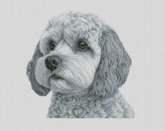 Cavapoo Dog 2 Counted Cross Stitch Chart or Complete Kit