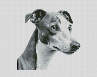 Puede incluir: Retrato en blanco y negro de un perro, probablemente un galgo italiano, con un pelaje liso y una expresión atenta. La cabeza del perro está ligeramente girada hacia la derecha, mostrando su hocico delgado y sus ojos oscuros. Fondo gris claro.