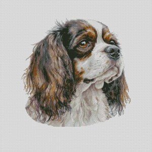Cavalier King Charles Spaniel Cane 2 Schema Punto Croce Download Istantaneo PDF Modello Keeper Compatibile