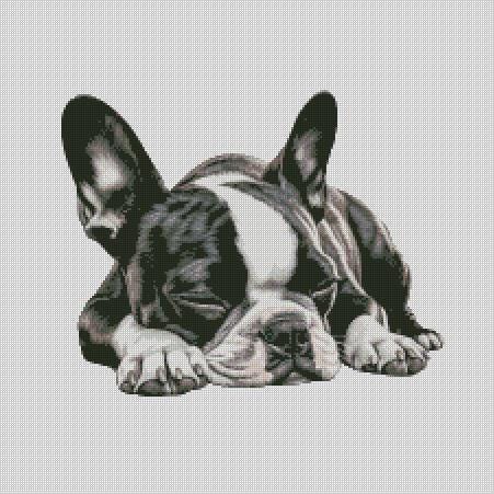 Coperta In Flanella 127x165 Cm Con Motivo Boston Terrier, Regalo Per Amanti Dei Cani