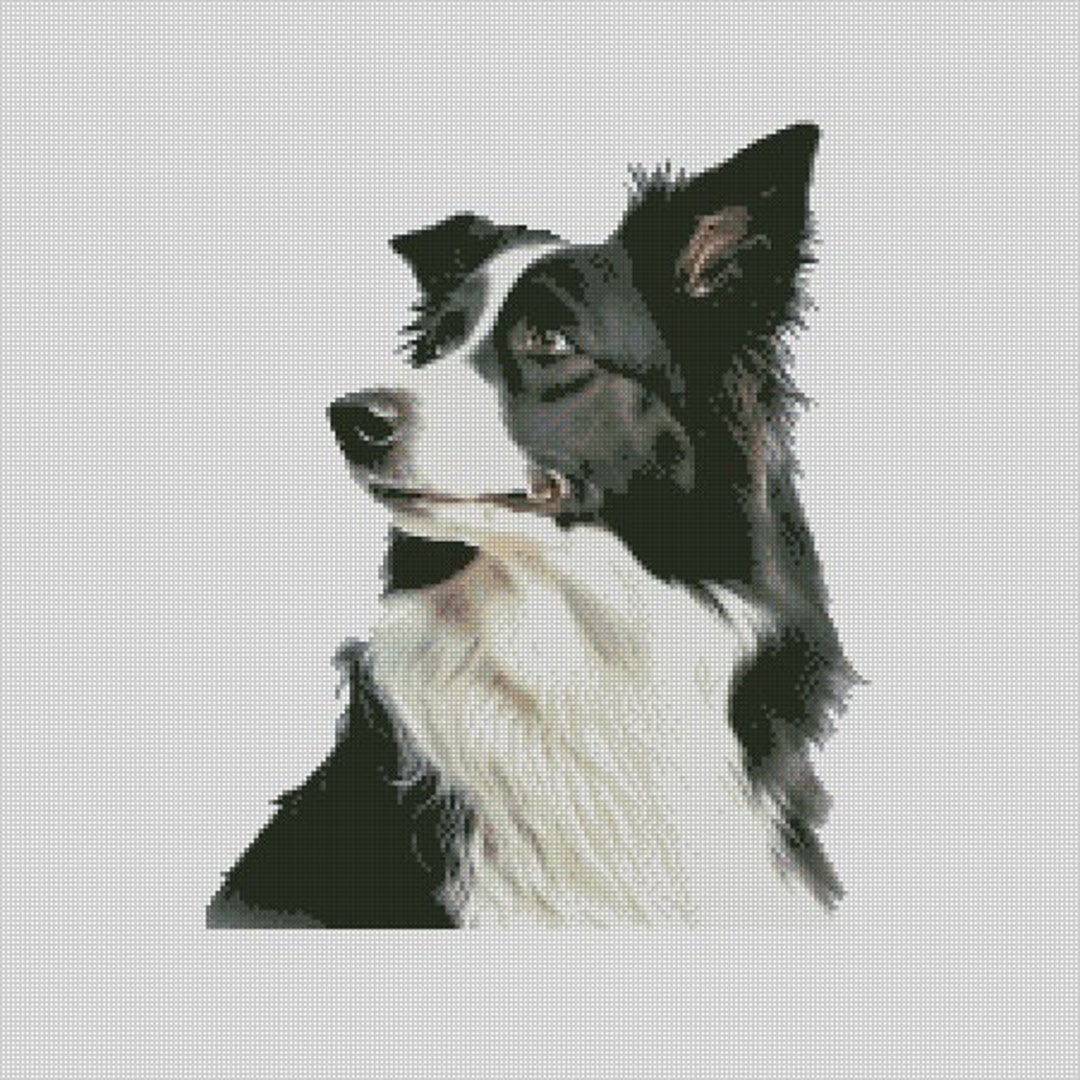 Border Collie Dog 7 Cross Stitch Chart Instant Download PDF Pattern ...