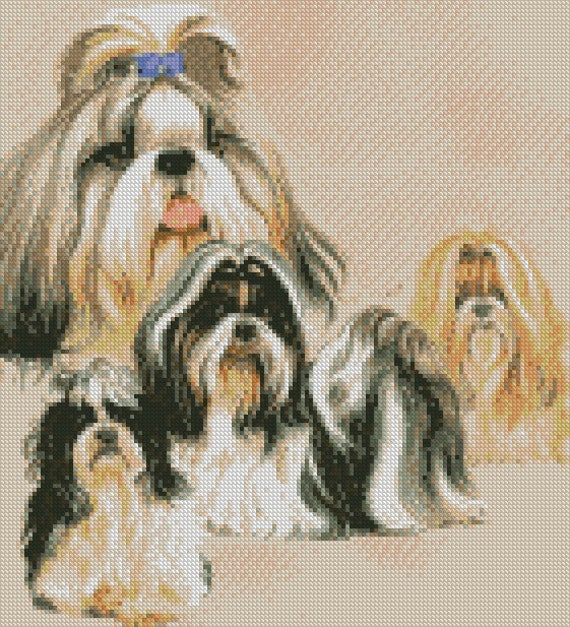 Shih Tzu Dog Years Chart