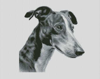 Puede incluir: Retrato en escala de grises de un galgo, mostrando su hocico delgado y mirada atenta. El pelaje del perro presenta un patrón moteado, con una franja blanca en la cara. Ilustración detallada.
