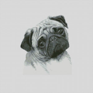 May include: A black and white illustration of a pug dog with a quizzical expression. The dog's face is detailed, with wrinkles and dark eyes. The pug is set against a light gray background.