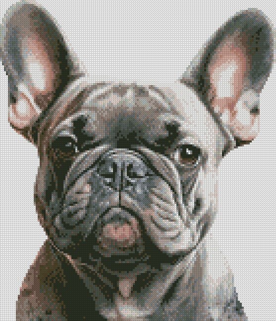 frenchbulldogぺージ il_fullxfull.5464770874_ow0s.jpg