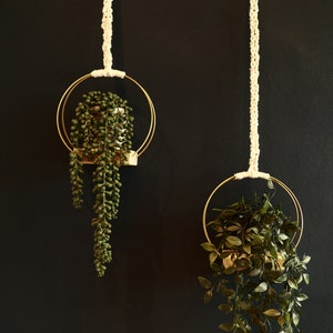 Macrame Handmade Gold metal ring Plant hangers Planter || The Madeira || Boho home decor || Interior || Sustainable