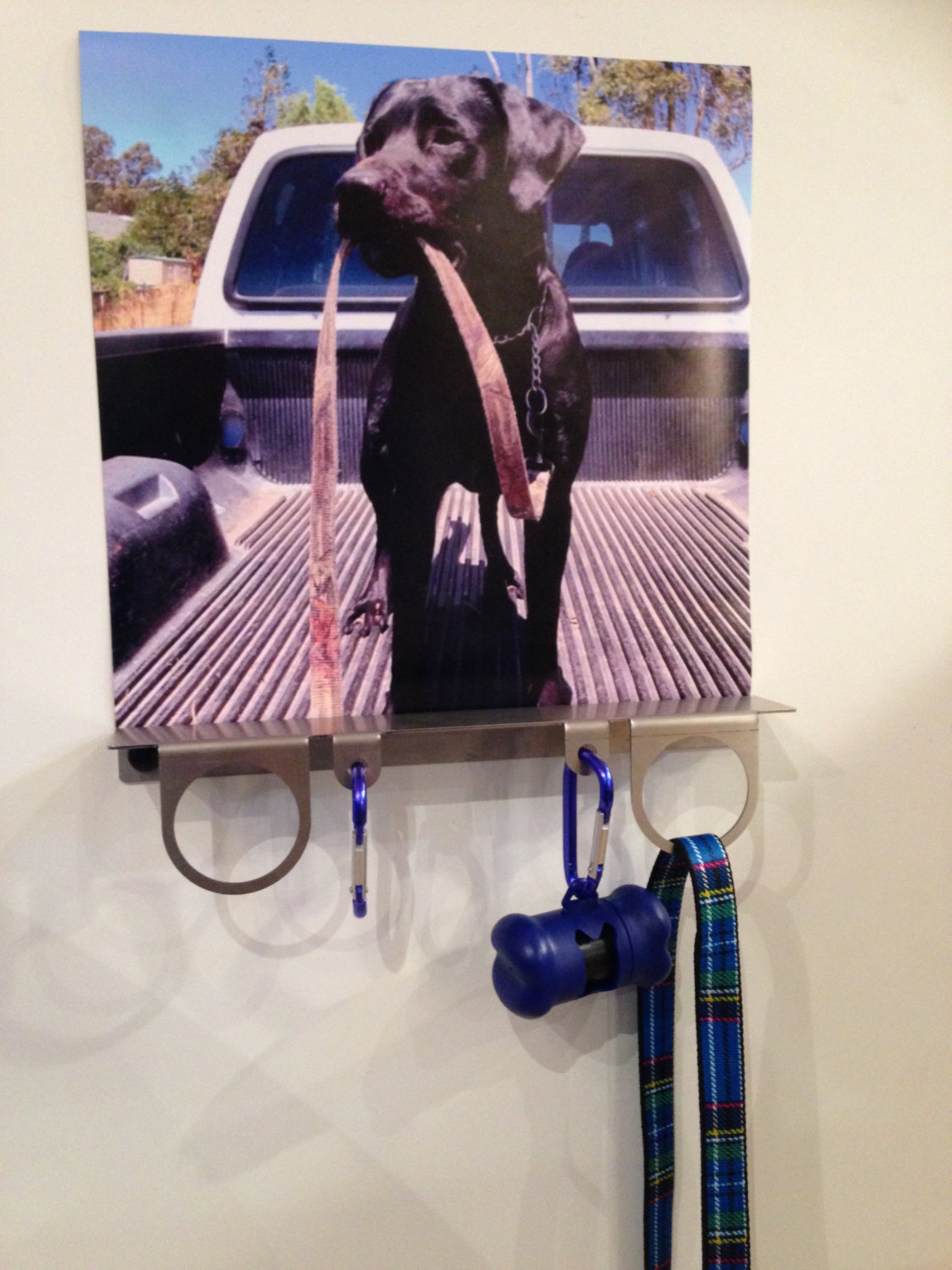 Dog Lead Hanger with sample Images Etsy