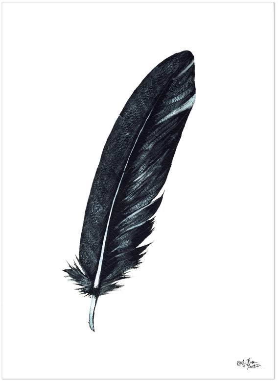 Crow Feather Black Raven Feather Minimalist Print. Fine Art Paper,  Laminated, or Framed. Multiple Sizes Available 