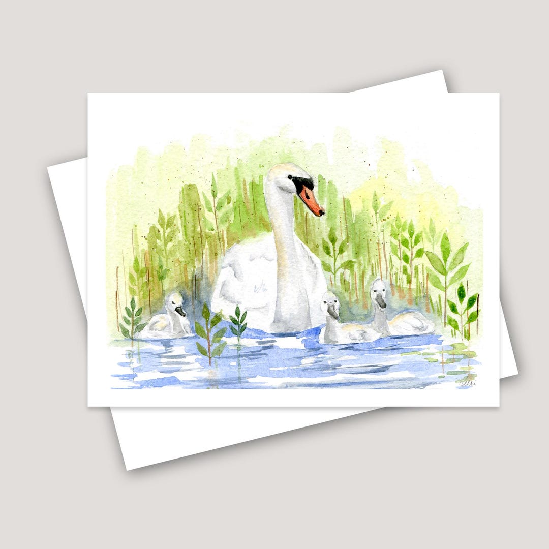 Mother and Baby Swimming Swans Greeting Card: Watercolor Art Print - Etsy