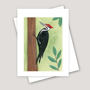 Pileated Woodpecker Greeting Card: Bird Nature Art Collage