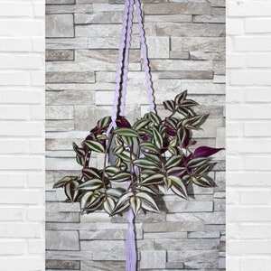 Pode incluir: Um suporte de planta de macramê roxo com uma planta verde e roxa pendurada nele. O suporte está pendurado em uma parede de tijolo.