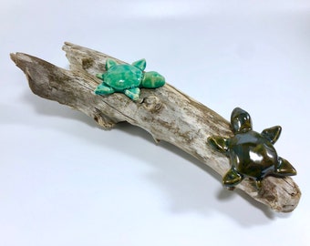 Turtles on a Log / Crystalline Turtles