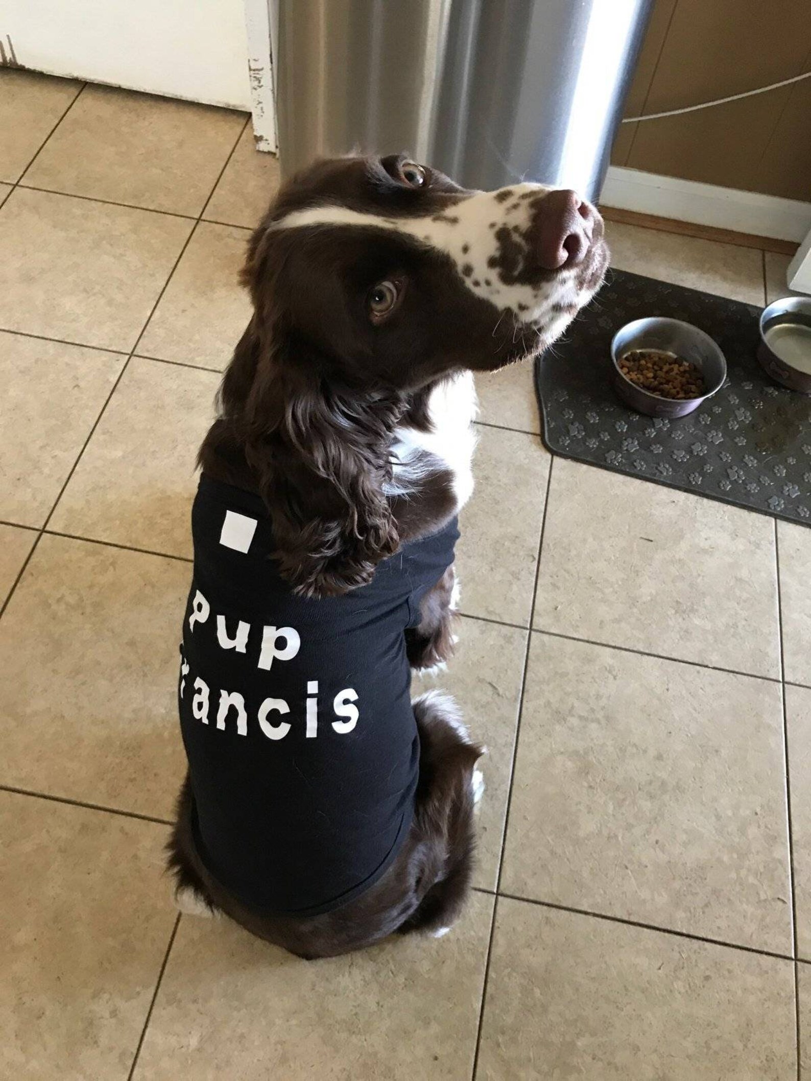 Blank Dog Shirts for Printing Vinyl Embroidery Dog TShirt Etsy