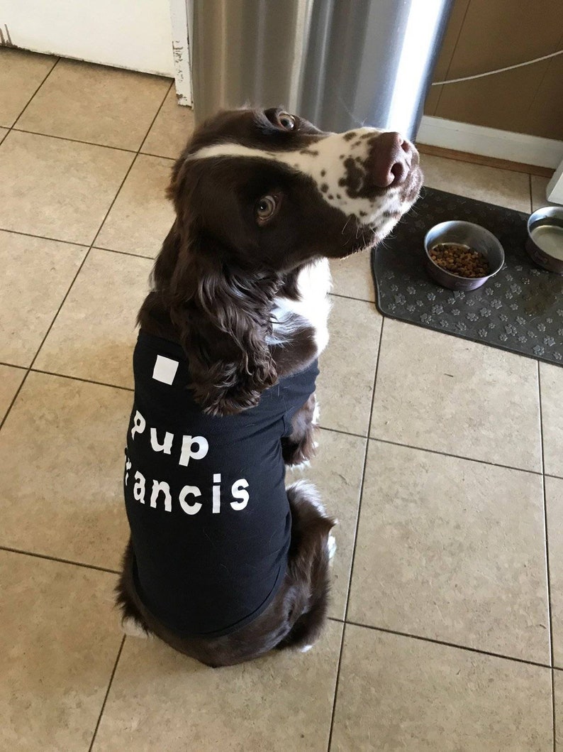Custom Dog Shirt Customize Your Dog Shirt Your Text here Dog Shirt Shirt for Dog Customizable Dog Shirt Dog T-Shirt Dog Shirt