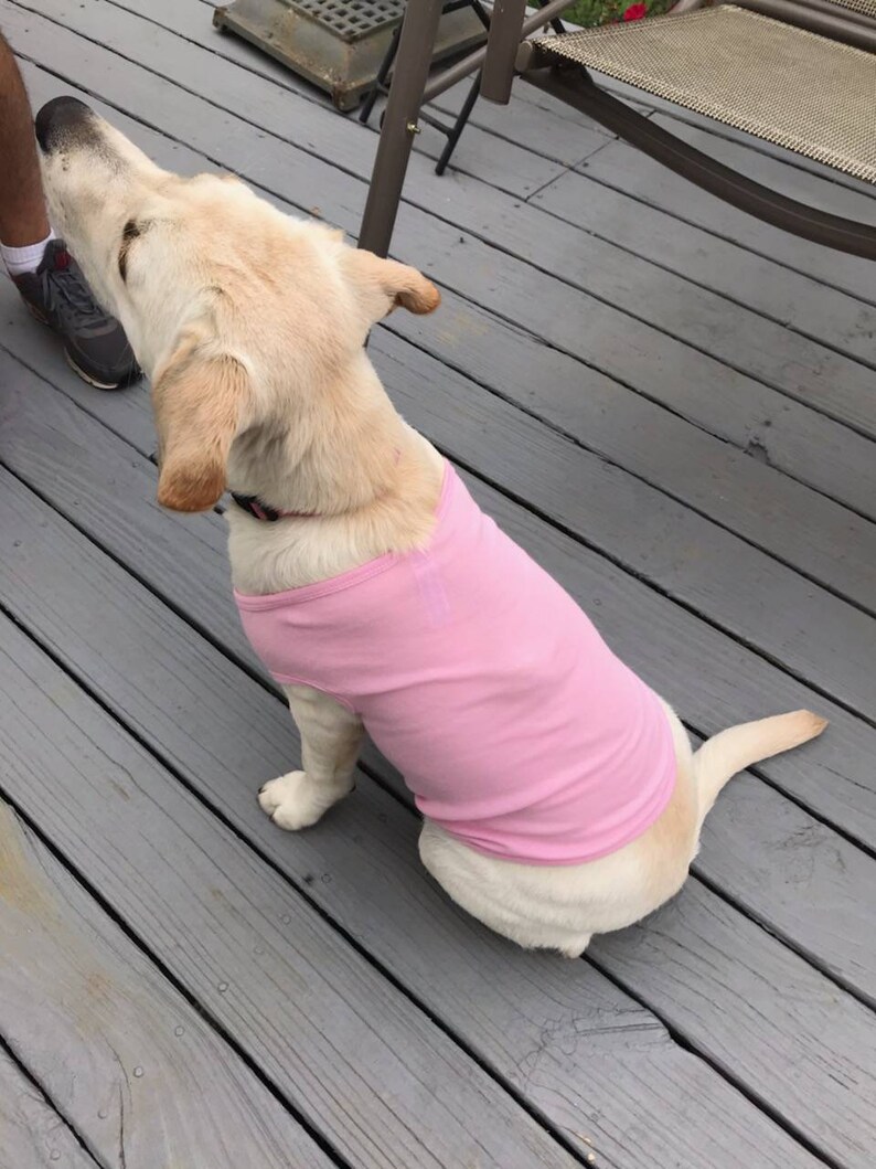 Custom Dog Shirt Customize Your Dog Shirt Your Text here Dog Shirt Shirt for Dog Customizable Dog Shirt Dog T-Shirt Dog Shirt