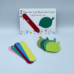 FOGLIA PER LA FESTA DELLA MAMMA Piantami e guardami crescere Carta a forma di semi Fiori selvatici su un sacchetto regalo di carta Divertimento Qualsiasi colore Etichetta vegetale Riciclata