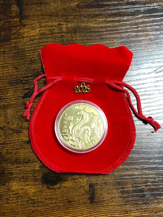 CHINESE New Year 2025 Snake Gold Colour Metal Double Sided Coin Gift Bag Charm Set Keepsake Celebration Collectable