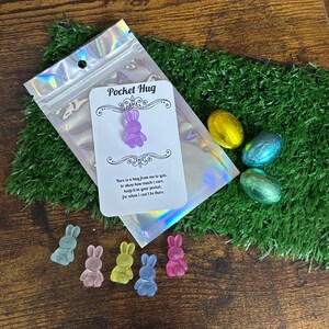 Abraço de bolso de coelho, lembrança, presente divertido para qualquer ocasião, conjunto de cartões com poemas de Páscoa coloridos, sacola de presente brilhante, lembrancinha de festa, amante de animais, família peculiar