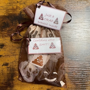 Solo un regalo di merda, novità, sopravvivenza, bizzarro, divertente, kit di fabbricazione, carta igienica, contiene adesivi di merda assoluta, segnalibro, sacchetto regalo, palline di cioccolato