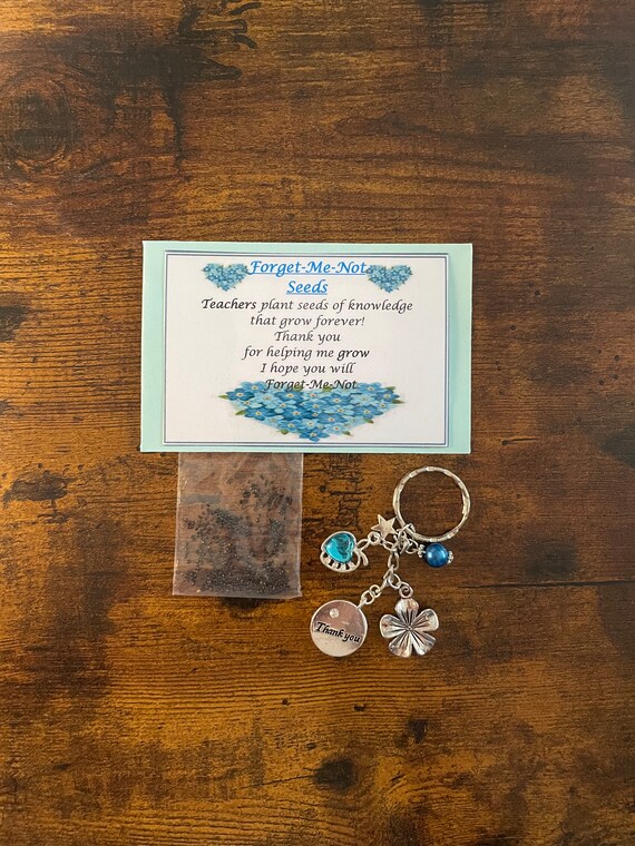 TEACHER Thank You Forget Me Not Flower Grow SEEDS And BLUE Key Bag Ring Charm Pendant Rhinestone Apple Star Beads Shimmer Bag And Envelope