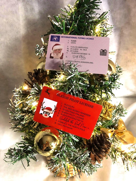 Santa Or Rudolph Lost Driving Sleigh Licence Magical Fun Outside Garden Or By Tree Believe Picture Memories Excitement Christmas Eve Day Fun
