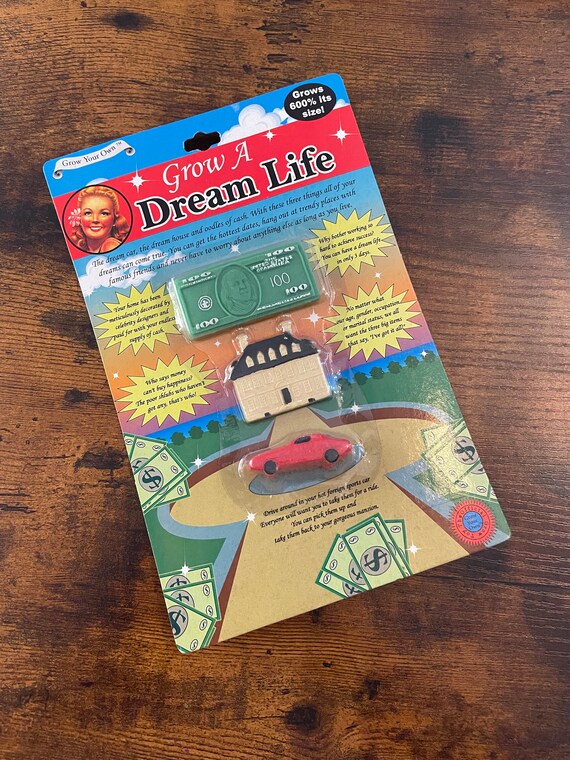 FATHERS Day DREAM LIFE You Never Have new car money and a mansion novelty quirky fun gift to give grows 600% bigger