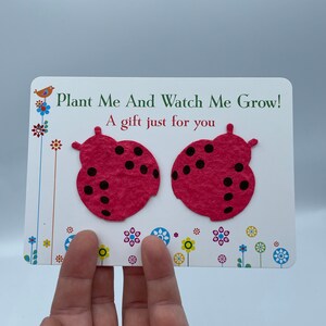 GRAZIE INSEGNANTE Due coccinelle mi piantano e mi guardano crescere carta con semi fiori selvatici su un sacchetto regalo divertente qualsiasi colore riciclato