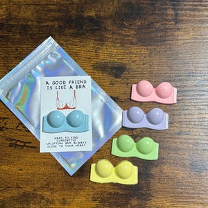 Un bon ami est comme un soutien-gorge Ensemble de cartes amusantes et amusantes avec poche style câlin souvenir poème spécial sac scintillant anniversaire cadeau unique