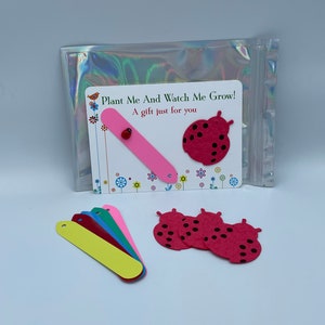 FESTA DELLA MAMMA COCCINELLA Piantami rosso e guardami crescere Carta con semi a forma di fiori selvatici su un sacchetto regalo di carta Divertimento Qualsiasi colore Etichetta vegetale Riciclata