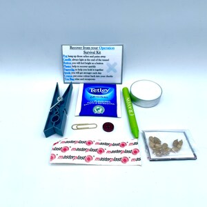 Trousse de survie amusante, cadeau de nouveauté, cadeau, cartes de voeux, sac en organza de couleur originale unique, peps, graines de plâtre, amusantes
