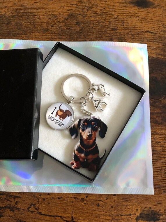 I Love DACHSHUNDS Dog Key Bag Charm Set Acrylic & Metal Fun Novelty Pet Lovers Sausage Dog Loving Hearts Gift Box Bag Keepsake Birthday Fun