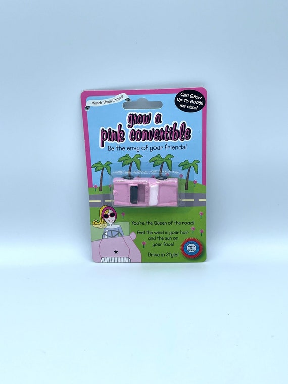 Grow you own PINK CONVERTIBLE car fun quirky novelty birthday christmas secret santa stocking filler, you are the queen of the road brum