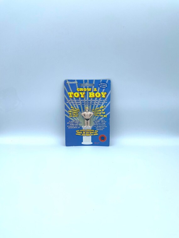 Grow Your Own TOY BOY Fun Quirky Novelty Gift Grows 600% Bigger In Water Young Gorgeous Man Hen Party Birthday Christmas Muscles Divorce